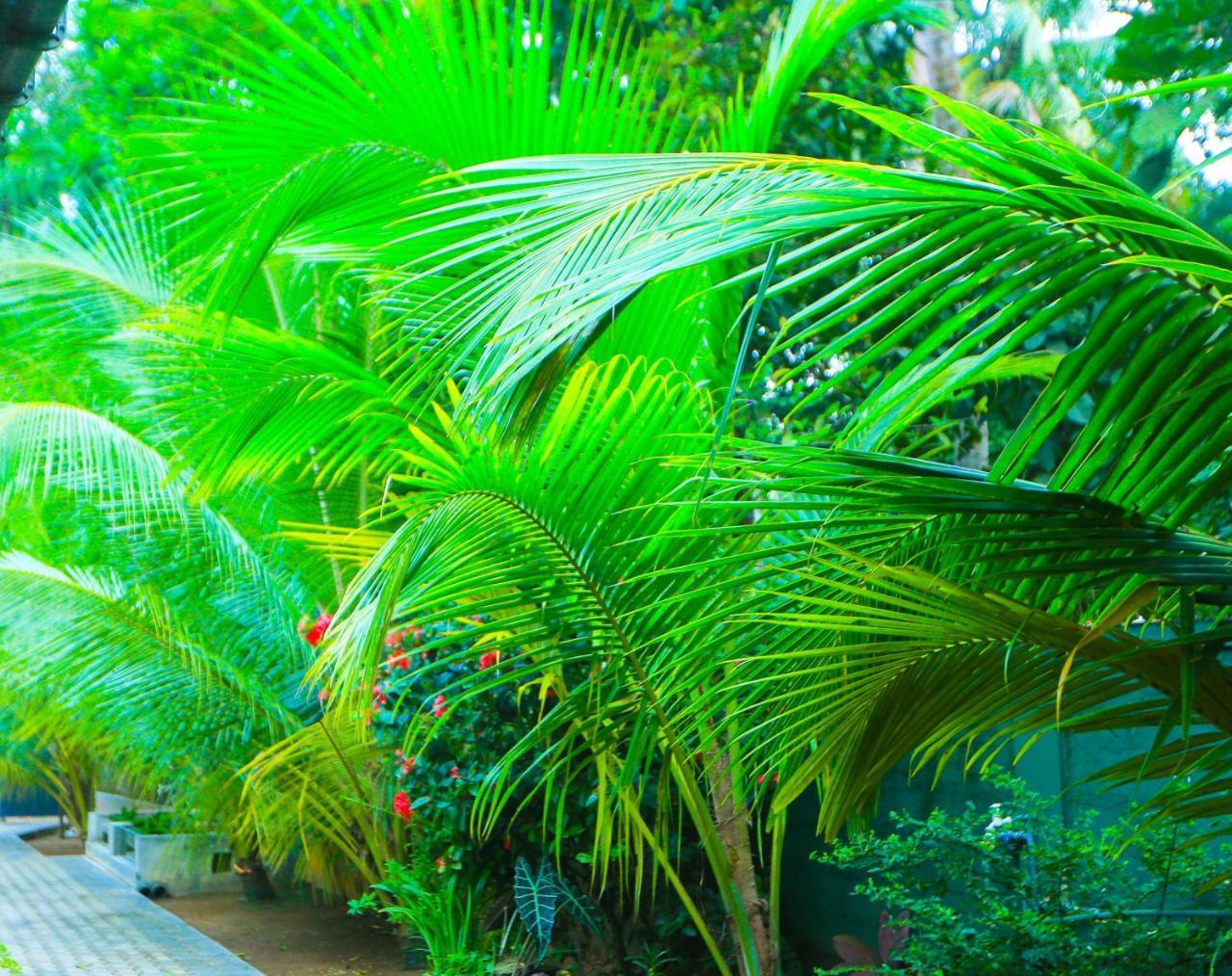 Sri Lankan Villa Elagawagoda Екстериор снимка